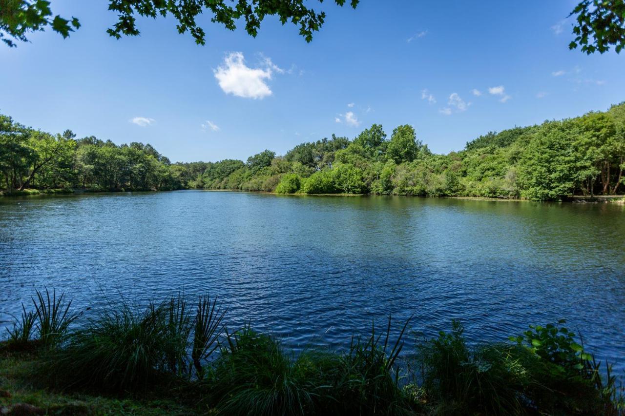 Camping L'Etang D'Ardy *** Saint-Paul-lès-Dax Eksteriør bilde