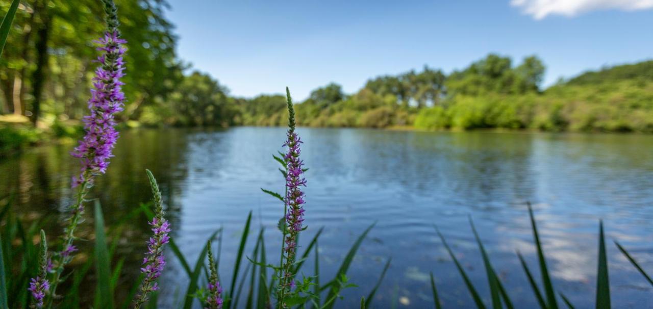 Camping L'Etang D'Ardy *** Saint-Paul-lès-Dax Eksteriør bilde