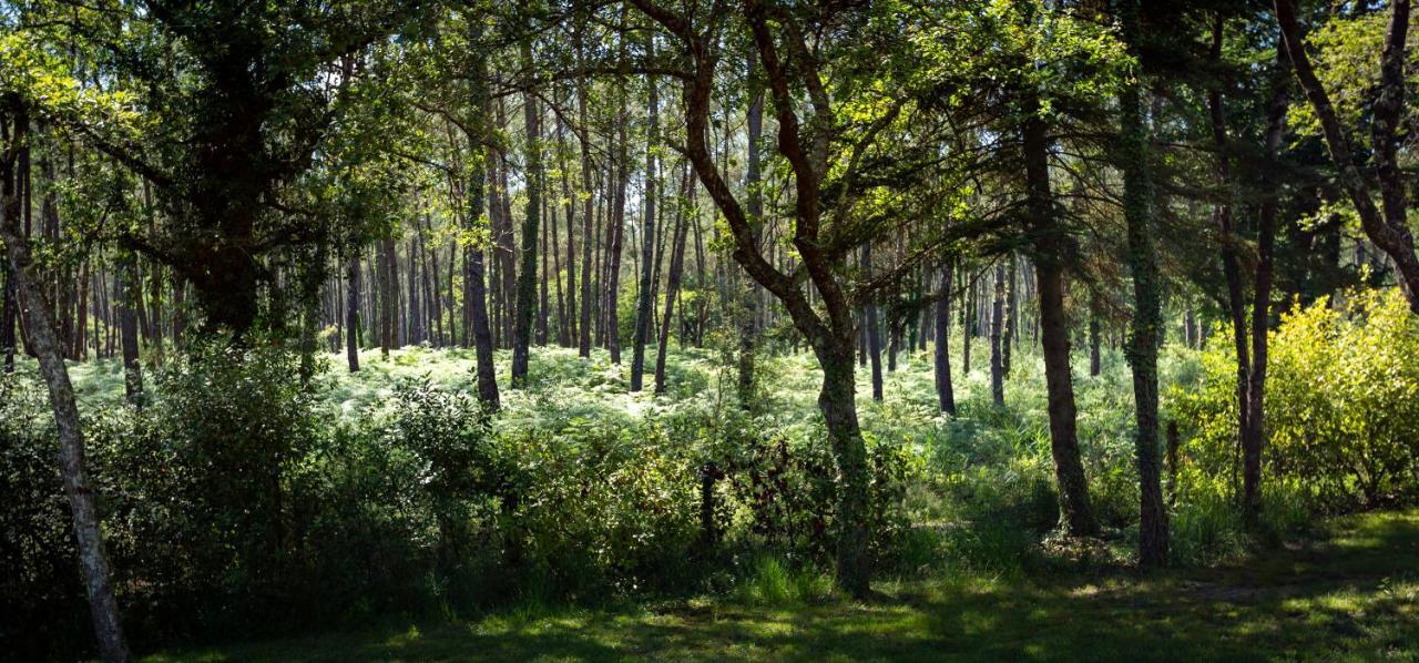 Camping L'Etang D'Ardy *** Saint-Paul-lès-Dax Eksteriør bilde