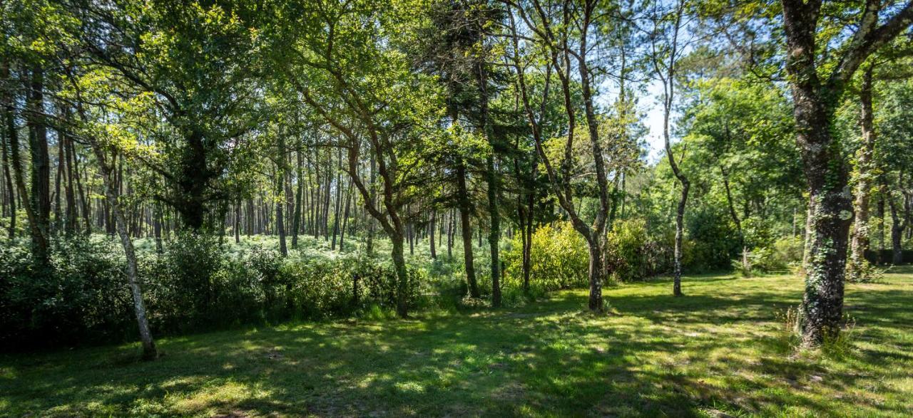 Camping L'Etang D'Ardy *** Saint-Paul-lès-Dax Eksteriør bilde