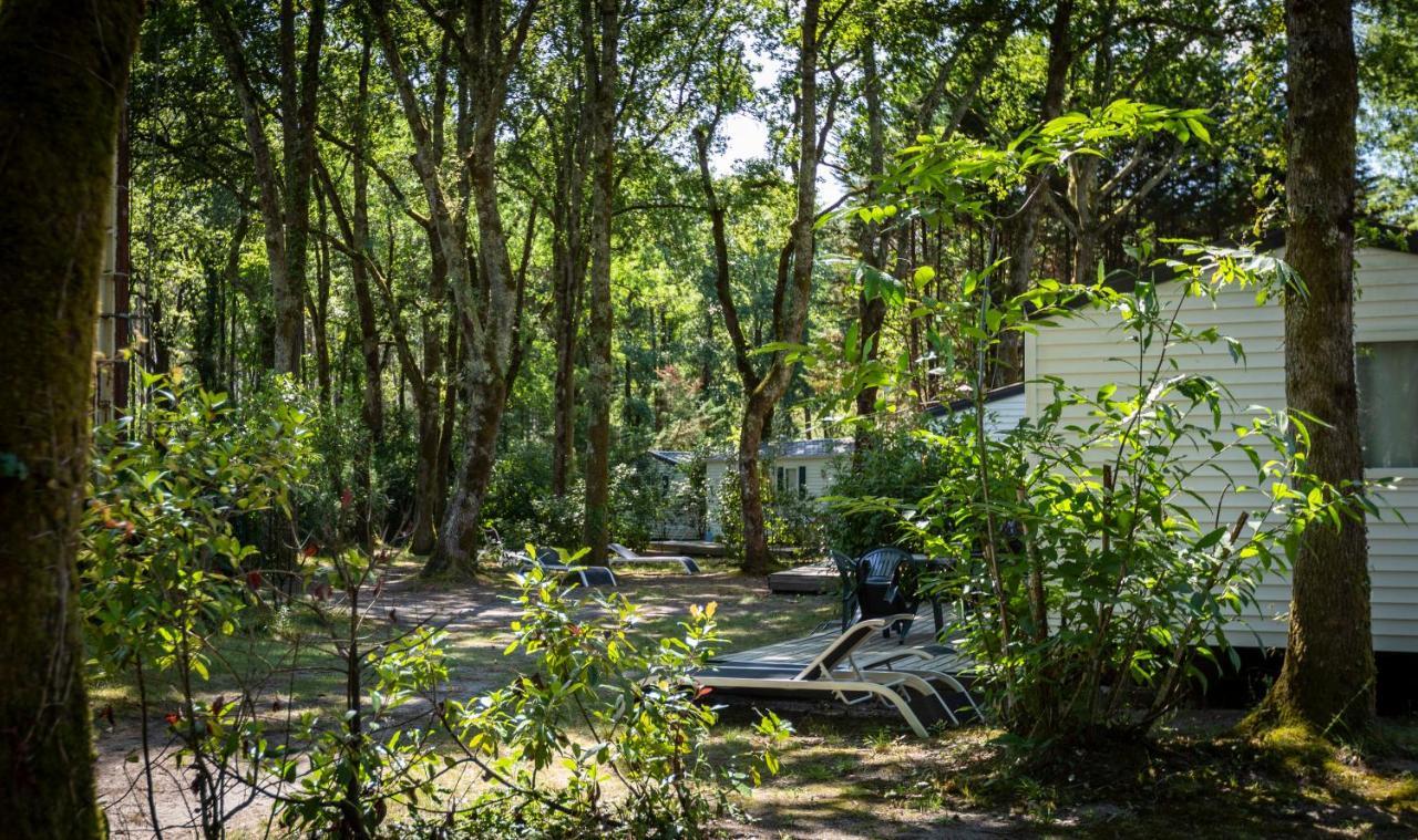 Camping L'Etang D'Ardy *** Saint-Paul-lès-Dax Eksteriør bilde