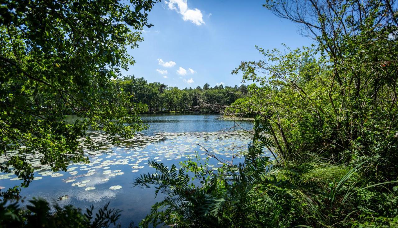 Camping L'Etang D'Ardy *** Saint-Paul-lès-Dax Eksteriør bilde
